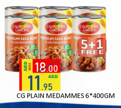 available at رويال جلف هايبرماركت in الإمارات العربية المتحدة , الامارات - أبو ظبي