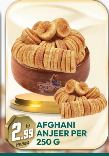 available at دريم لاند in الإمارات العربية المتحدة , الامارات - دبي