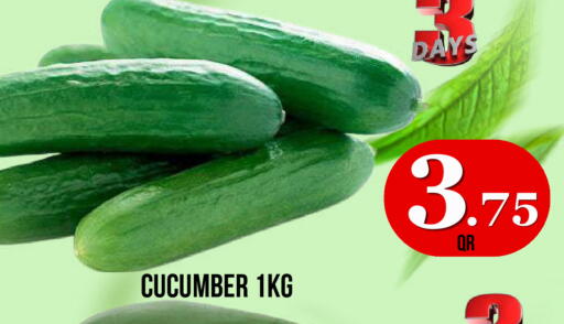 Cucumber available at Dubai Shopping Center in Qatar - Doha
