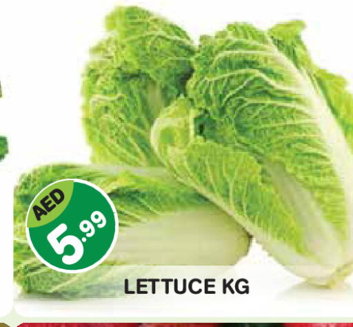 Lettuce available at Baniyas Spike  in UAE - Abu Dhabi