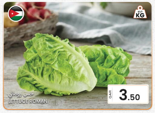 Lettuce available at البلدي اليوم in قطر - الوكرة