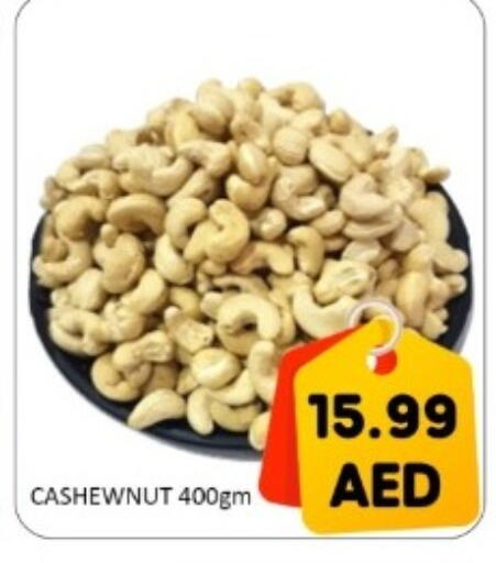 available at GREEN GIFT DEPARTMENT STORE in UAE - Abu Dhabi