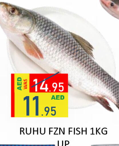 available at رويال جلف هايبرماركت in الإمارات العربية المتحدة , الامارات - أبو ظبي