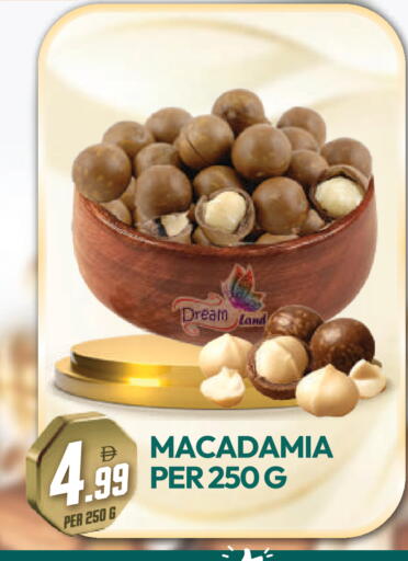 available at دريم لاند in الإمارات العربية المتحدة , الامارات - دبي