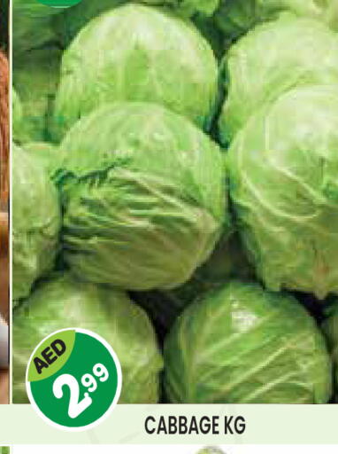 Cabbage available at Baniyas Spike  in UAE - Al Ain