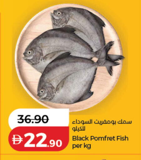 available at Lulu Hypermarket in UAE - Dubai