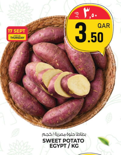 Sweet Potato from Egypt available at السعودية in قطر - الوكرة