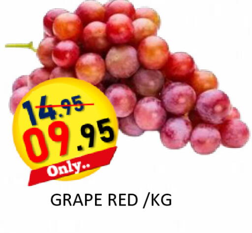available at رويال جلف هايبرماركت in الإمارات العربية المتحدة , الامارات - أبو ظبي