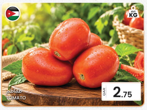 Tomato available at البلدي اليوم in قطر - الوكرة