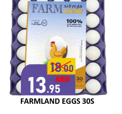 available at رويال جلف هايبرماركت in الإمارات العربية المتحدة , الامارات - أبو ظبي