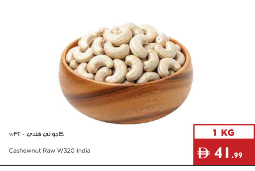 available at إسطنبول سوبرماركت in الإمارات العربية المتحدة , الامارات - أبو ظبي