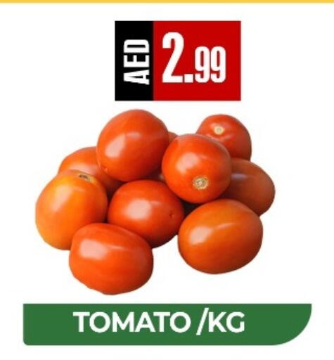 Tomato available at  RIVIERA SUPERMARKET L.L.C in UAE - Abu Dhabi