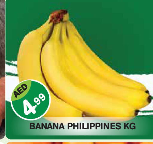 Banana from Philippines available at Baniyas Spike  in UAE - Abu Dhabi