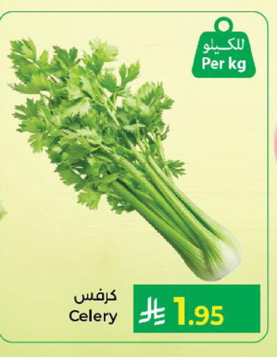 Celery available at كبايان هايبرماركت in مملكة العربية السعودية, السعودية, سعودية - ينبع