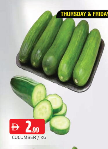 Cucumber available at AL MADINA in UAE - Sharjah / Ajman