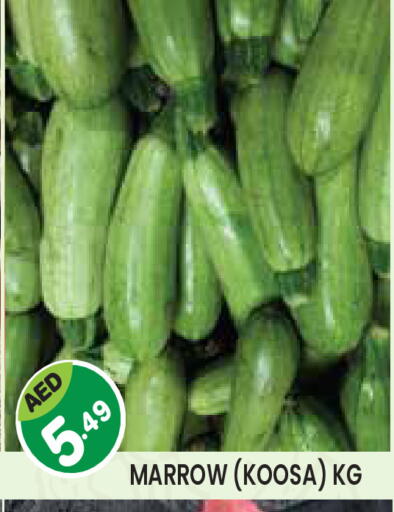 Marrow available at Baniyas Spike  in UAE - Abu Dhabi