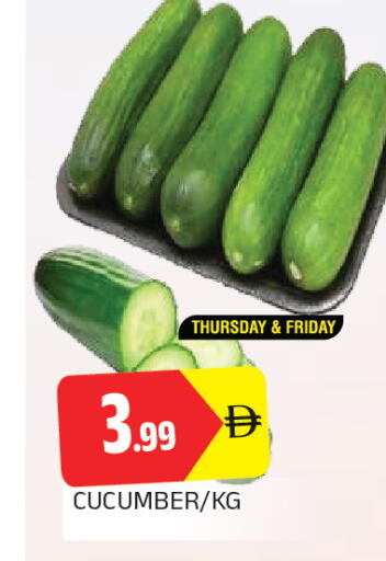 Cucumber available at AL MADINA in UAE - Sharjah / Ajman
