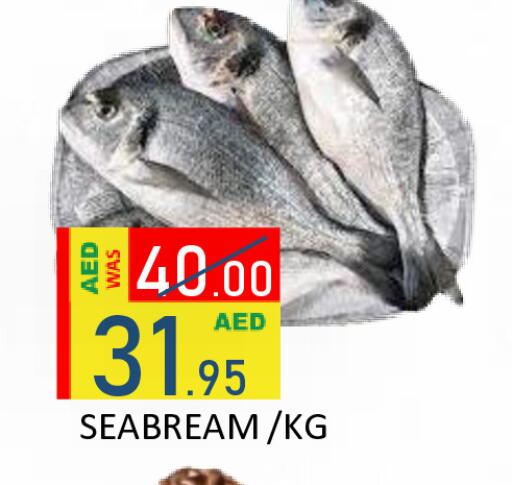 available at رويال جلف هايبرماركت in الإمارات العربية المتحدة , الامارات - أبو ظبي
