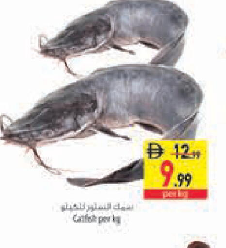available at Safeer Market in UAE - Abu Dhabi