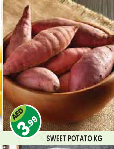 Sweet Potato available at Baniyas Spike  in UAE - Abu Dhabi