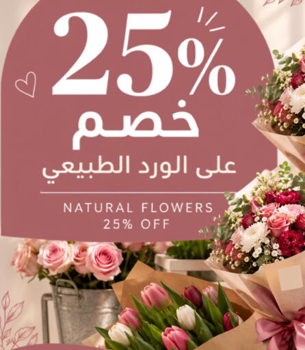 available at Astra Markets in KSA, Saudi Arabia, Saudi - Tabuk