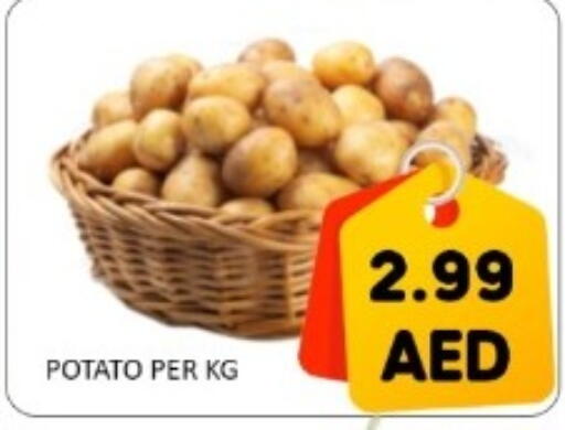 Potato available at GREEN GIFT DEPARTMENT STORE in UAE - Abu Dhabi
