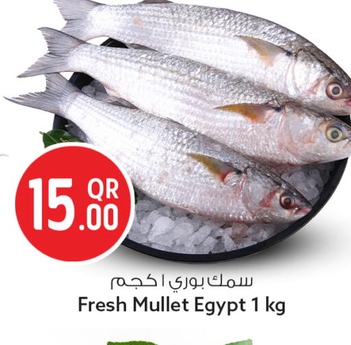 available at سفاري هايبر ماركت in قطر - الوكرة