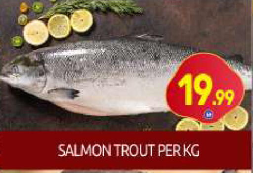 available at BIGmart in UAE - Dubai