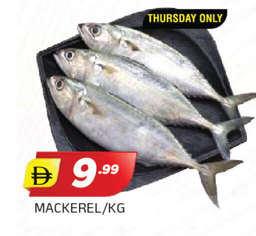 available at AL MADINA in UAE - Sharjah / Ajman