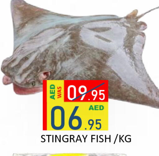available at رويال جلف هايبرماركت in الإمارات العربية المتحدة , الامارات - أبو ظبي