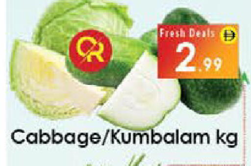 Cabbage available at ايكو مول & ايكو هايبرماركت in الإمارات العربية المتحدة , الامارات - ٱلْعَيْن‎