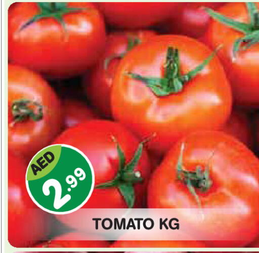 Tomato available at Baniyas Spike  in UAE - Abu Dhabi
