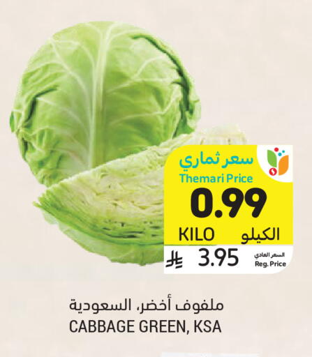 Cabbage available at Tamimi Market in KSA, Saudi Arabia, Saudi - Unayzah
