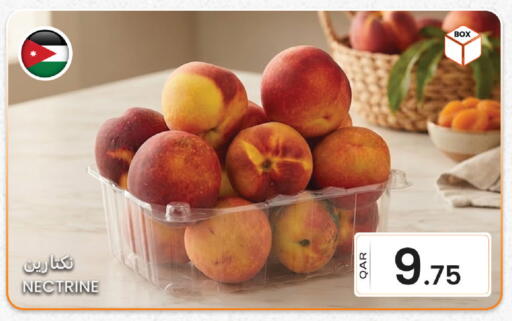 available at البلدي اليوم in قطر - الوكرة