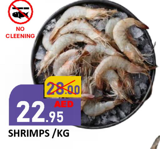 available at رويال جلف هايبرماركت in الإمارات العربية المتحدة , الامارات - أبو ظبي