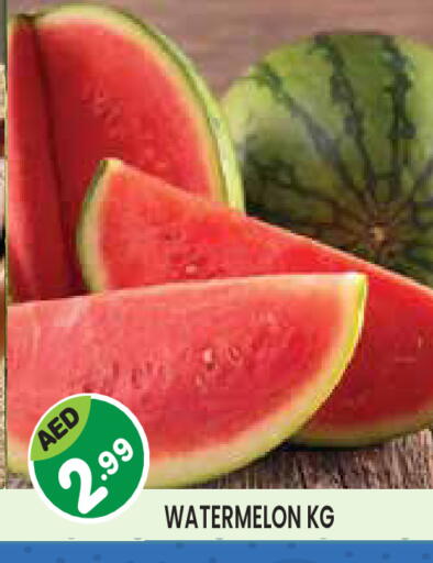 Watermelon available at Baniyas Spike  in UAE - Al Ain