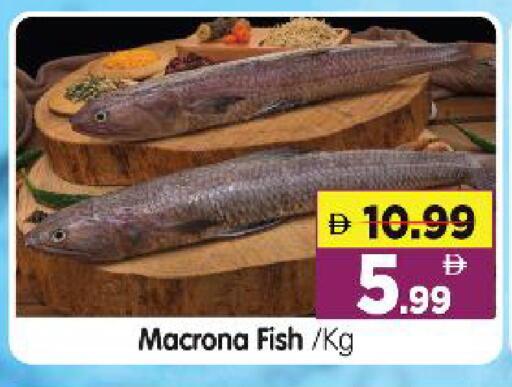 available at هايبر ماركت المدينة in الإمارات العربية المتحدة , الامارات - أبو ظبي