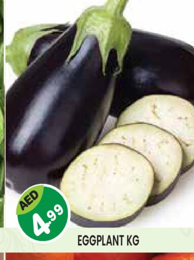 Eggplant available at Baniyas Spike  in UAE - Al Ain