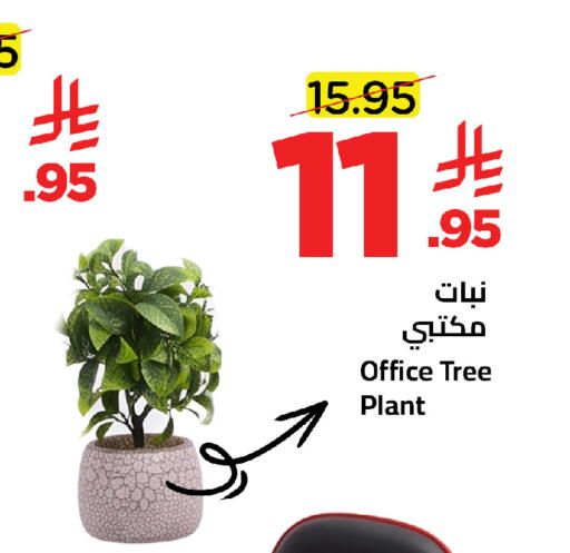 available at Wahj Mart in KSA, Saudi Arabia, Saudi - Jeddah