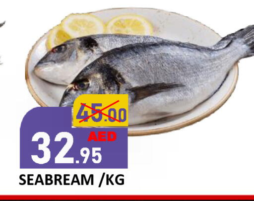 available at رويال جلف هايبرماركت in الإمارات العربية المتحدة , الامارات - أبو ظبي