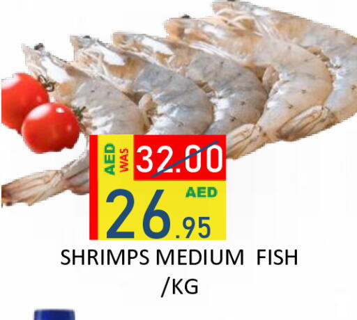 available at رويال جلف هايبرماركت in الإمارات العربية المتحدة , الامارات - أبو ظبي