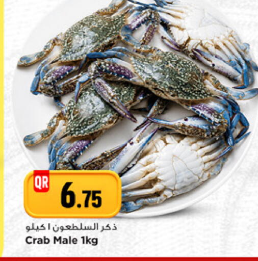 available at مرزا هايبرماركت in قطر - الشمال