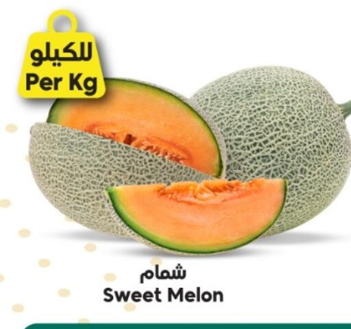Melon available at Dukan in KSA, Saudi Arabia, Saudi - Medina