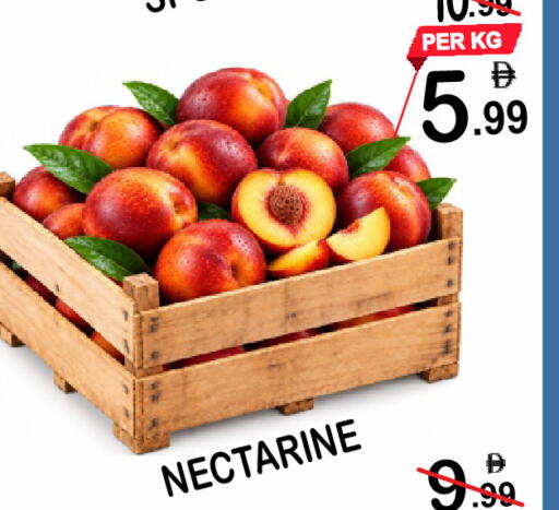Nectarine available at Friday Center in UAE - Dubai