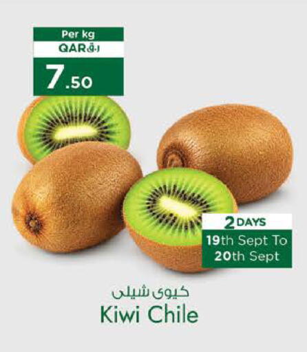 Kiwi from Chile available at نـسـتـو in قطر - الخور