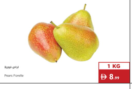 available at إسطنبول سوبرماركت in الإمارات العربية المتحدة , الامارات - أبو ظبي