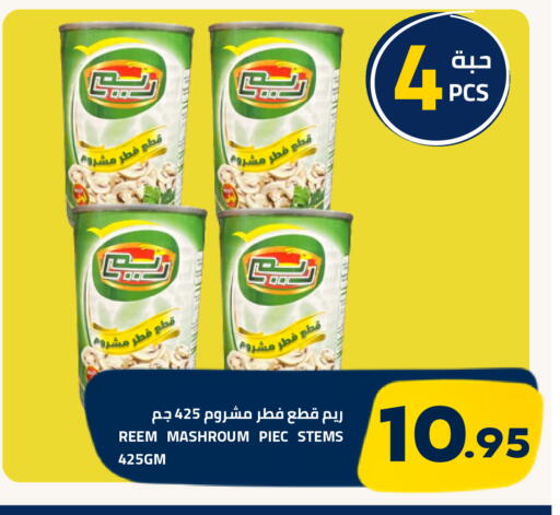 available at أسواق أسترا in مملكة العربية السعودية, السعودية, سعودية - تبوك