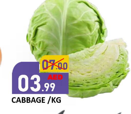 Cabbage available at رويال جلف هايبرماركت in الإمارات العربية المتحدة , الامارات - أبو ظبي