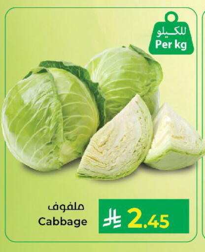 Cabbage available at كبايان هايبرماركت in مملكة العربية السعودية, السعودية, سعودية - ينبع