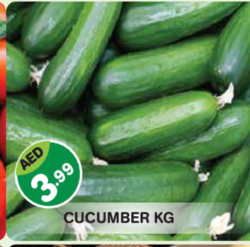 Cucumber available at Baniyas Spike  in UAE - Abu Dhabi